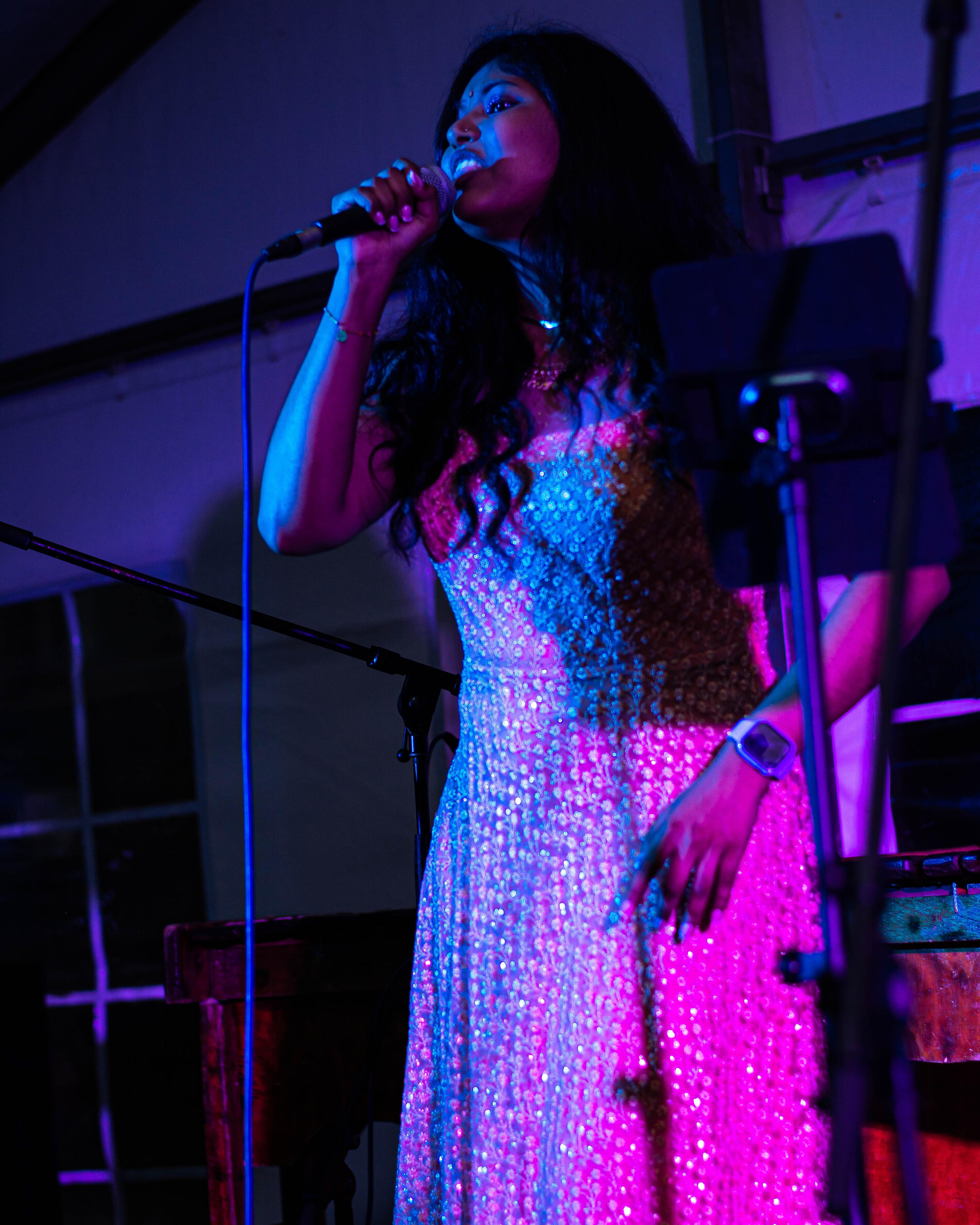 Red Mango Arts Festival — DSC_1368